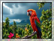 Ciemne, Ptak, Papuga, Konar, Grafika AI, Ara, Chmury