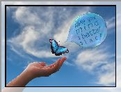 Dłoń, Niebieski, Motyl