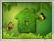 Zielony, Domek, Motyle, Trawa