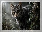 Szary, Kot, Rośliny, Drzewo