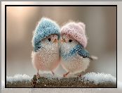 Grafika AI, Czapki, Dwa, Ptaki, Gałąź, Śnieg