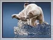 Polarne, Dwa, Misie