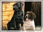 Labrador Retriever, Cocker spaniel angielski, Pieski, Dwa, Szopa