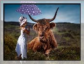 Parasolka, Dziecko, Highland, Szkocka rasa, Dziewczynka, Krowa