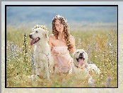 Dziewczynka, Wianek, Golden Retriever, Łąka
