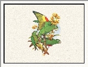 Edward Lear, Zielone, Papugi