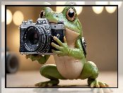 Grafika, Żaba, Aparat fotograficzny