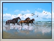 Galop, Plaża, Konie, Ptaki