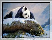 Nancy Glazier, Malarstwo, Skała, Panda wielka, Śnieg