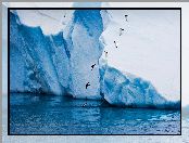 Góra lodowa, Pingwiny, Morze, Skaczące