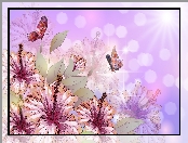 Hibiskus, Grafika 2D, Kwiaty, Motyle