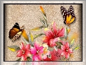 Hibiskus, Art, Różowy, Motyle