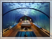 Hotel, Oceanarium, Podwodny, Dubaj