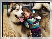 Pies Husky, Dziecko