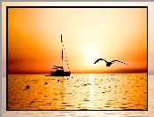Jacht, Ptak, Morze, Zachód Słońca