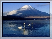 Japonia, Fudżi, Łabędzie, Jezioro, Góra