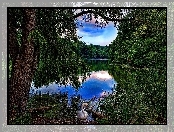 Łąbędz, Jezioro, Lasy