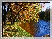 Kaczki, Jesień, Rzeka, Park