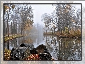 Kamienie, Rzeka, Jesień, Mgła, Kaczki, Park
