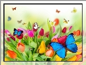 Motyle, Kolorowe, Tulipany