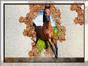 Grafika, Koń, Mur