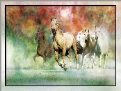 Konie, Galop