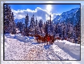 Konie, Góry, Polska, Tatry, Zima, Zaprzęg