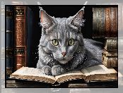 Książki, Kot, 2D, Leżący, Szary