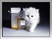 Chanel, Kot, Perfumy