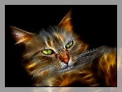 Kot, Fractalius