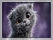 Grafika AI, Szary, Kot