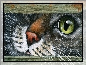 Paintography, Kot, Szczelina