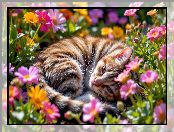 Pręgowany, Leżący, Kwiaty, Kot