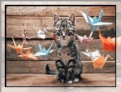 Kotek, Origami, Kot, Ptaszki