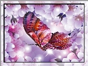 Motyl, Kwiaty, Wiśni