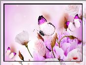 Motyle, Kwiaty, Eustoma