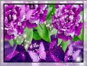 Kwiaty, Art, Purpurowe, Motyle