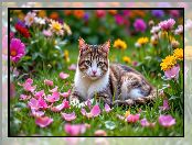 Płatki, Kwiaty, Trawa, Kot, Leżący