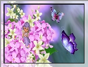 Laleczka, Grafika 2D Motyl, Kwiaty, Motyle