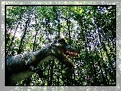 Dinozaur, Las, Drzewa