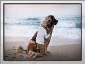 Leonberger, Dziecko, Przyjaciele, Morze, Pies, Plaża