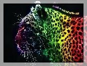 Fractalius, Leopard, Kolorowy