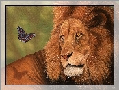 Art., Lew, Motylek