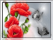 Art, Maki, Motyle
