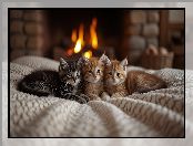 AI, Koty, Trzy, Małe, Legowisko, Grafika