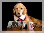 Śmieszne, Kubek, Okulary, Golden Retriever, Gazeta