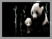 Fractalius, Misie, Panda