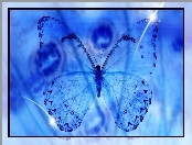 Grafika, Motyl, Tło