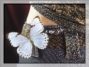 Pas, Motyl, Jeans