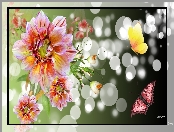 Motyle, Art, Kwiaty, Bokeh